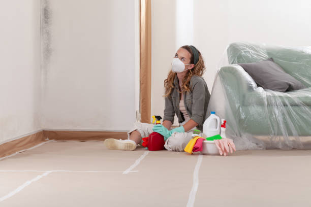 Reliable Mold Remediation contractor in East Setauket, NY by WQB Mold Removal